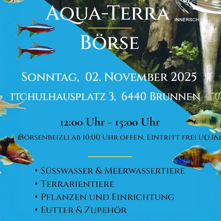 Aquaterra Börse Brunnen