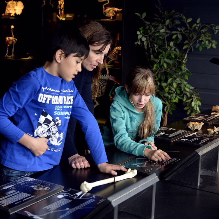 Entdeckerspur durchs Kulturama - Zürich