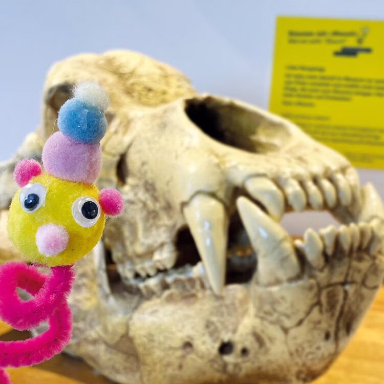 Staunen mit Stuuni - KULTURAMA Zürich